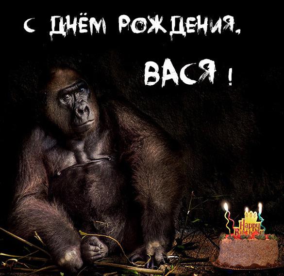 Скачать бесплатно Открытка с днем рождения Вася с приколом на сайте WishesCards.ru