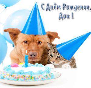 Скачать бесплатно Открытка с днем рождения ветеринару на сайте WishesCards.ru