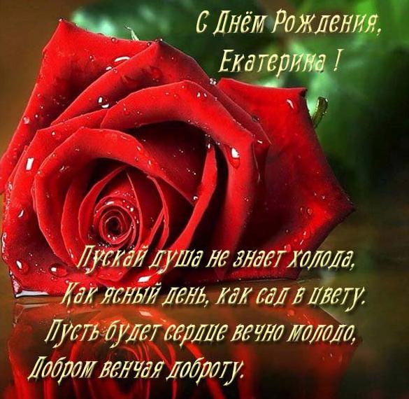 Скачать бесплатно Открытка с днем рождения женщине Екатерине на сайте WishesCards.ru