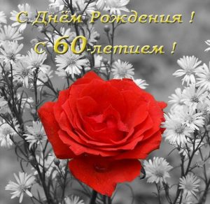 Скачать бесплатно Открытка с днем рождения женщине на 60 лет на сайте WishesCards.ru