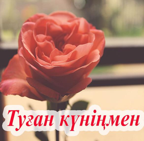 Скачать бесплатно Открытка с днем рождения женщине на казахском на сайте WishesCards.ru