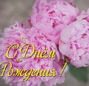 Скачать бесплатно Открытка с днем рождения женщине с цветами пионами на сайте WishesCards.ru