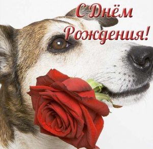 Скачать бесплатно Открытка с днем рождения женщине с коротким пожеланием на сайте WishesCards.ru