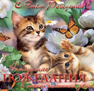 Скачать бесплатно Открытка с днем рождения женщине с котятами на сайте WishesCards.ru