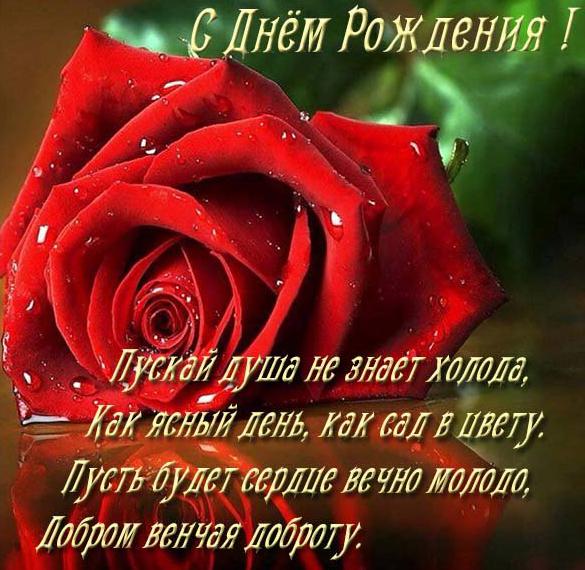 Скачать бесплатно Открытка с днем рождения женщине с красивыми розами на сайте WishesCards.ru
