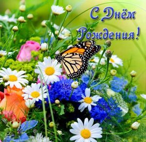 Скачать бесплатно Открытка с днем рождения женщине с полевыми цветами на сайте WishesCards.ru