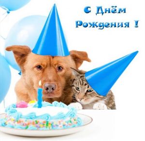 Скачать бесплатно Открытка с днем рождения женщине с собачкой на сайте WishesCards.ru