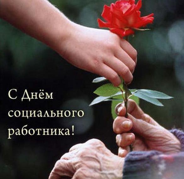 Скачать бесплатно Открытка с днем социального работника на сайте WishesCards.ru