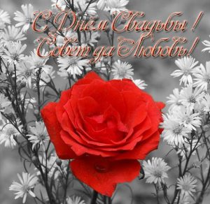 Скачать бесплатно Открытка с днем свадьбы с розами на сайте WishesCards.ru