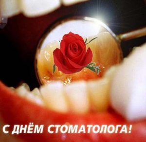 Скачать бесплатно Открытка с днем врача стоматолога на сайте WishesCards.ru