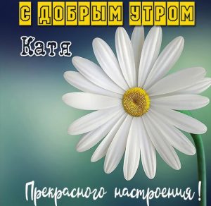 Скачать бесплатно Открытка с добрым утром Катя на сайте WishesCards.ru