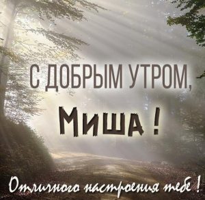 Скачать бесплатно Открытка с добрым утром Миша на сайте WishesCards.ru