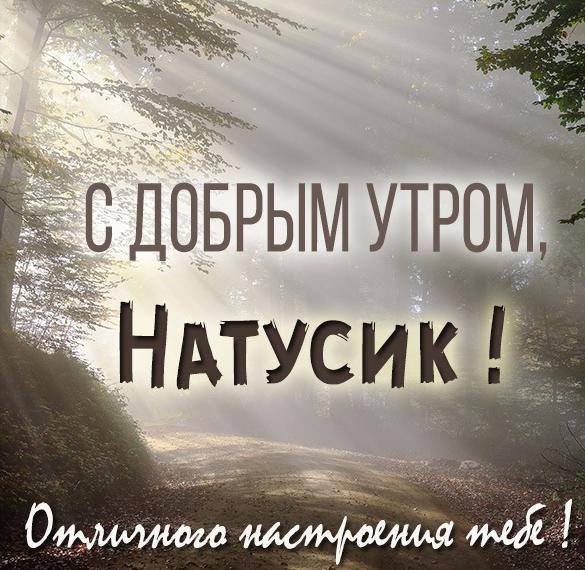 Скачать бесплатно Открытка с добрым утром Натусик на сайте WishesCards.ru
