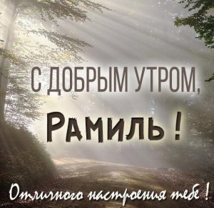 Скачать бесплатно Открытка с добрым утром Рамиль на сайте WishesCards.ru