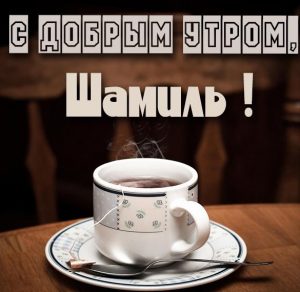 Скачать бесплатно Открытка с добрым утром Шамиль на сайте WishesCards.ru