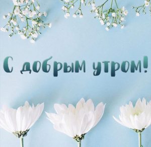 Скачать бесплатно Открытка с добрым утром со цветами на сайте WishesCards.ru