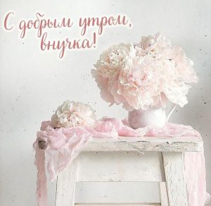 Скачать бесплатно Открытка с добрым утром внучка на сайте WishesCards.ru