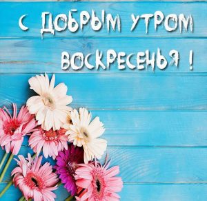 Скачать бесплатно Открытка с добрым утром воскресенья на сайте WishesCards.ru