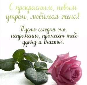 Скачать бесплатно Открытка с добрым утром жене любимой красивая на сайте WishesCards.ru