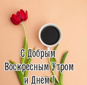 Скачать бесплатно Открытка с добрым воскресным утром и днем на сайте WishesCards.ru