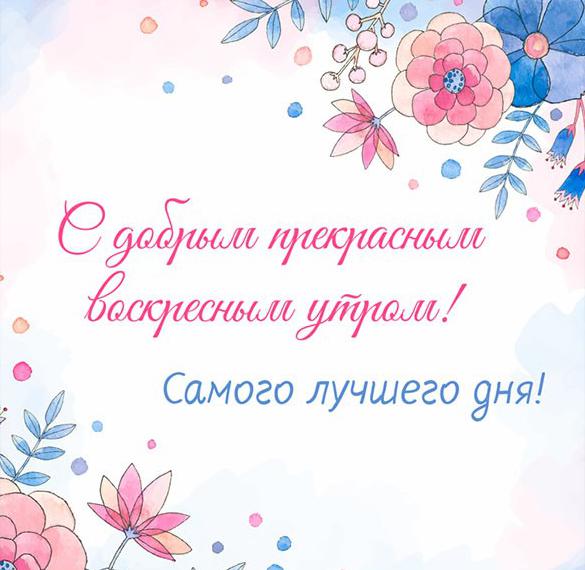 Скачать бесплатно Открытка с добрым воскресным утром на сайте WishesCards.ru