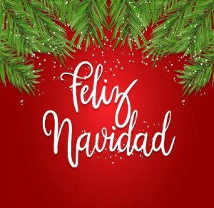Скачать бесплатно Открытка с католическим Рождеством на испанском языке на сайте WishesCards.ru