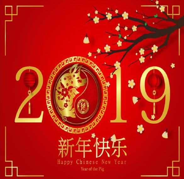 Скачать бесплатно Открытка с китайским Новым Годом 2019 на сайте WishesCards.ru