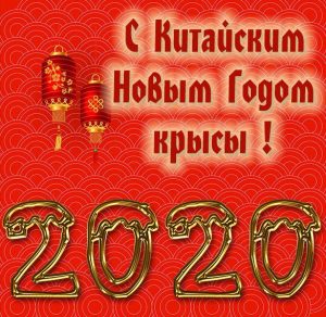 Скачать бесплатно Открытка с китайским Новым Годом 2020 крысы на сайте WishesCards.ru