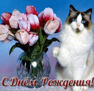 Скачать бесплатно Открытка с кошечками с днем рождения на сайте WishesCards.ru