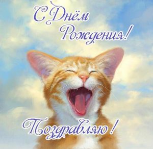 Скачать бесплатно Открытка с котиками на день рождения на сайте WishesCards.ru