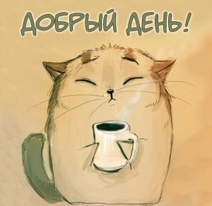 Скачать бесплатно Открытка с котятами добрый день на сайте WishesCards.ru