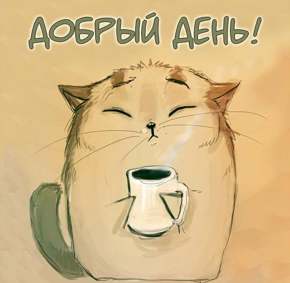 Скачать бесплатно Открытка с котятами добрый день на сайте WishesCards.ru