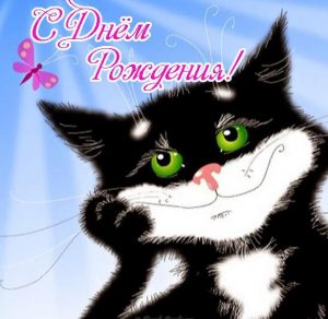 Скачать бесплатно Открытка с котятами на день рождения на сайте WishesCards.ru