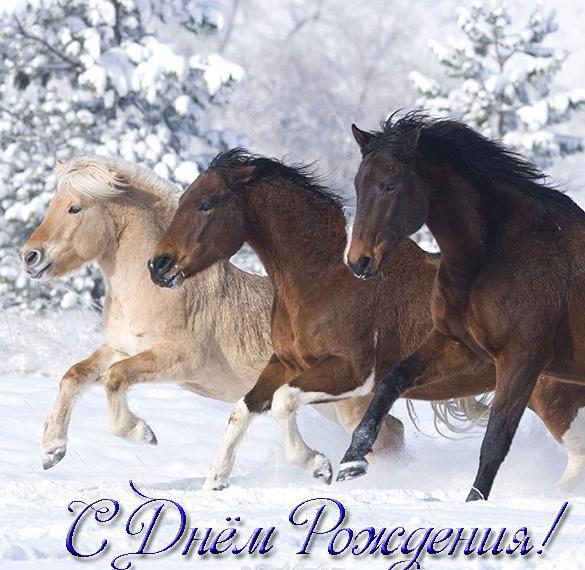 Скачать бесплатно Открытка с лошадьми на день рождения на сайте WishesCards.ru