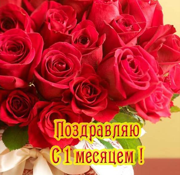 Скачать бесплатно Открытка с месяцем ребенка девочки на сайте WishesCards.ru