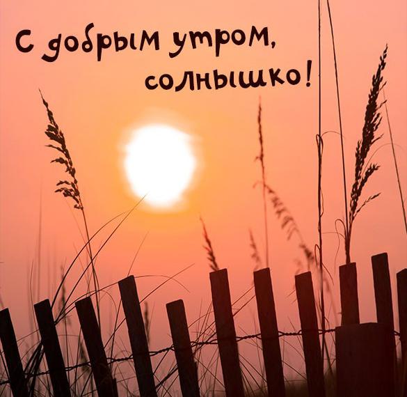 Скачать бесплатно Открытка с надписью с добрым утром солнышко на сайте WishesCards.ru