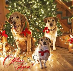 Скачать бесплатно Открытка с Новым Годом с собаками на сайте WishesCards.ru
