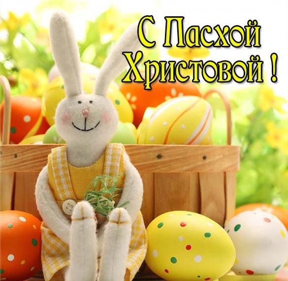 Скачать бесплатно Открытка с пасхальный зайцем на сайте WishesCards.ru