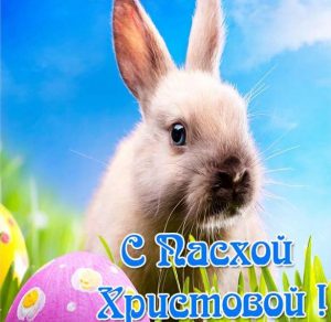 Скачать бесплатно Открытка с пасхальным кроликом на сайте WishesCards.ru