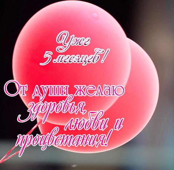 Скачать бесплатно Открытка с поздравлением на 5 месяцев мальчику на сайте WishesCards.ru