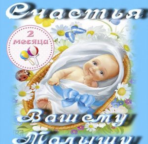 Скачать бесплатно Открытка с поздравлением с 2 месяцем мальчика на сайте WishesCards.ru