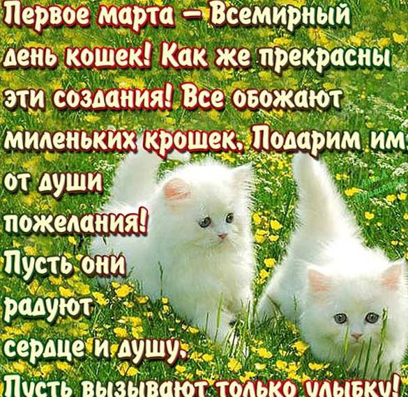 Скачать бесплатно Открытка с поздравлением с днем кошек на сайте WishesCards.ru