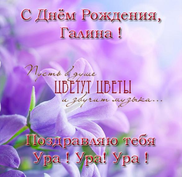 Скачать бесплатно Открытка с поздравлением с днем рождения Галине на сайте WishesCards.ru