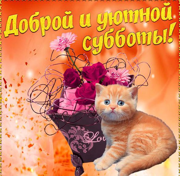 Скачать бесплатно Открытка с пожеланием доброй субботы на сайте WishesCards.ru