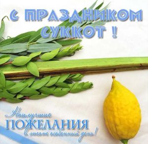 Скачать бесплатно Открытка с праздником Суккот на сайте WishesCards.ru