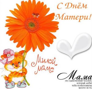 Скачать бесплатно Открытка с прекрасным поздравлением с днем матери на сайте WishesCards.ru