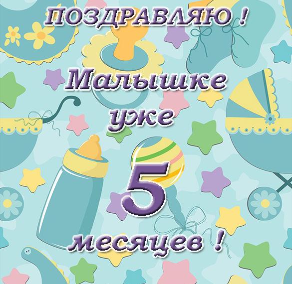 Скачать бесплатно Открытка с пятью месяцами для девочки на сайте WishesCards.ru