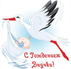Скачать бесплатно Открытка с рождением внучки бабушке на сайте WishesCards.ru