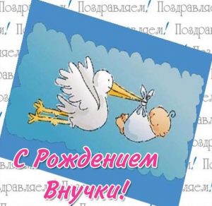 Скачать бесплатно Открытка с рождением внучки на сайте WishesCards.ru