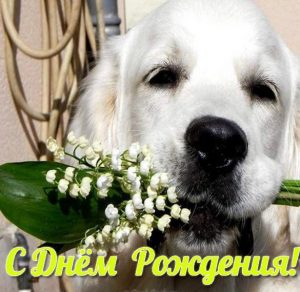 Скачать бесплатно Открытка с собачкой с днем рождения на сайте WishesCards.ru